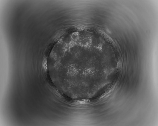 X0000093480479200711020936