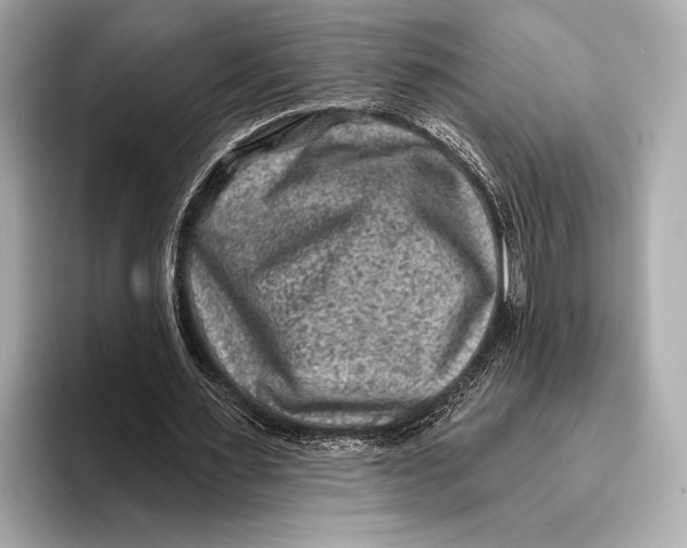 X0000093480483200711020936