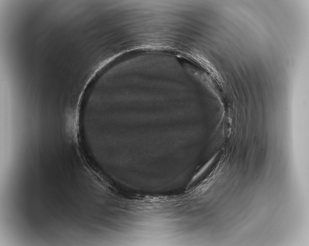 X0000093480484200711020936