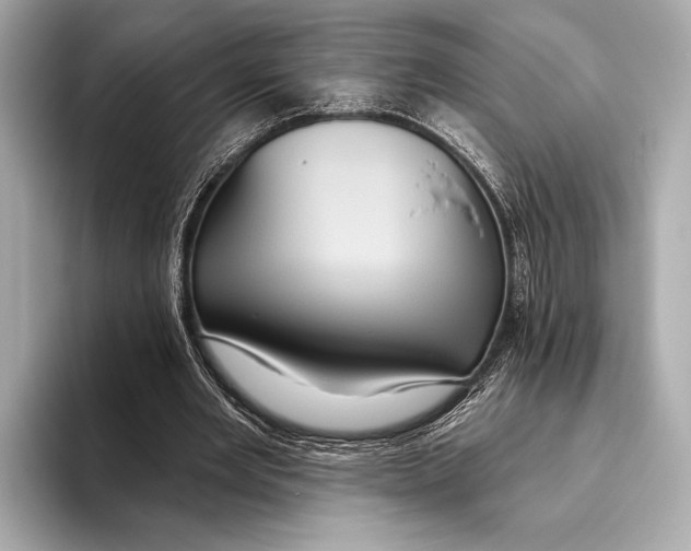 X0000093480485200711020936