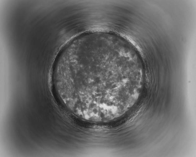 X0000093480487200711020936