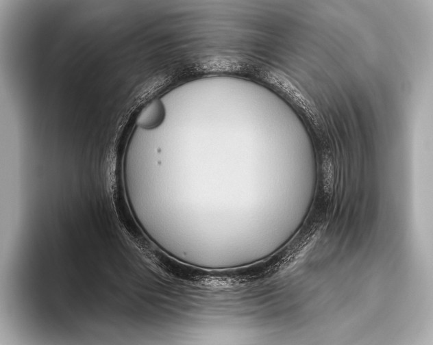 X0000093480490200711020936