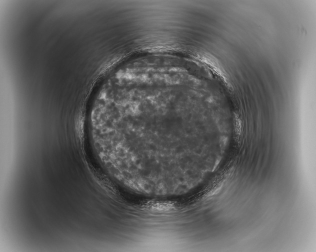 X0000093480491200711020936