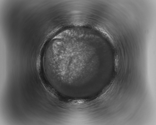 X0000093480492200711020936