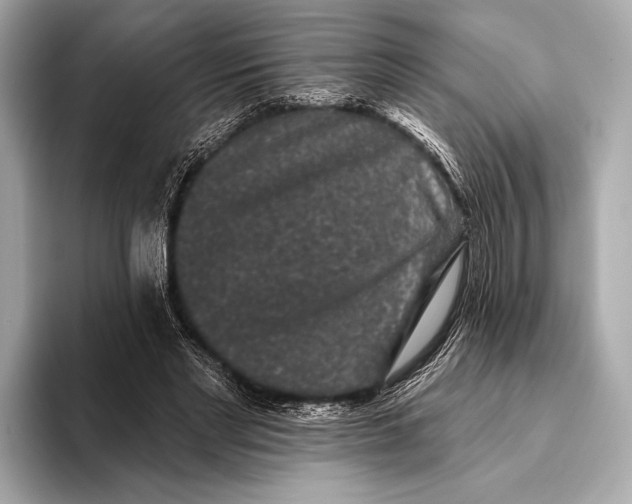 X0000093480493200711020936