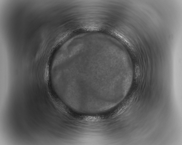 X0000093480494200711020936