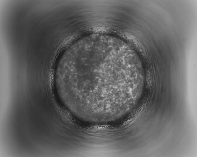 X0000093480495200711020936