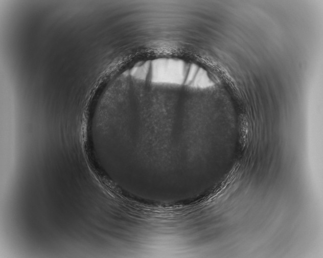 X0000093480496200711020936