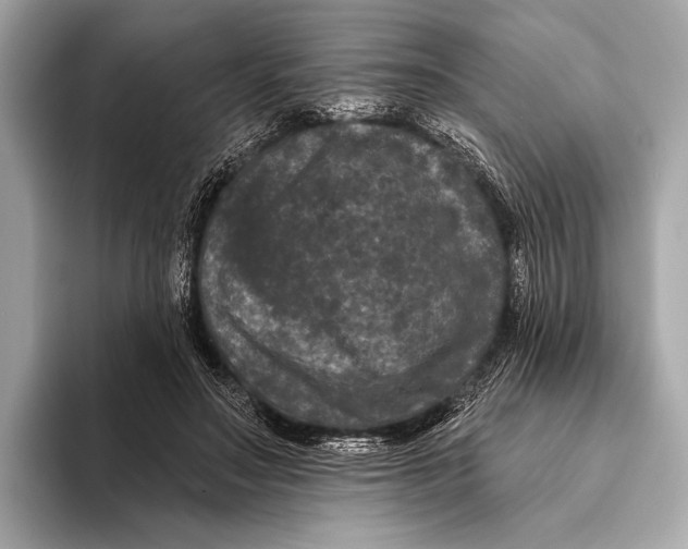 X0000093480499200711020936