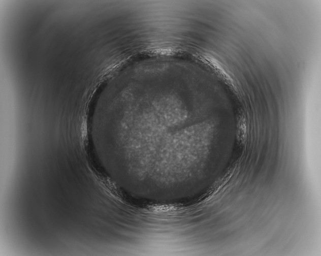 X0000093480500200711020936