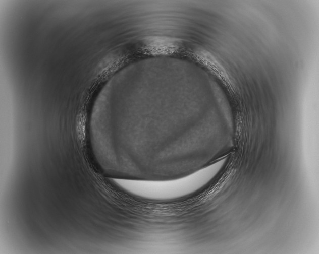 X0000093480501200711020936