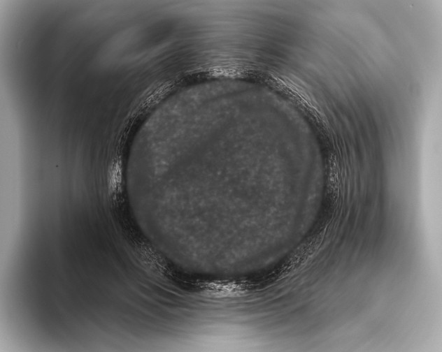 X0000093480502200711020936
