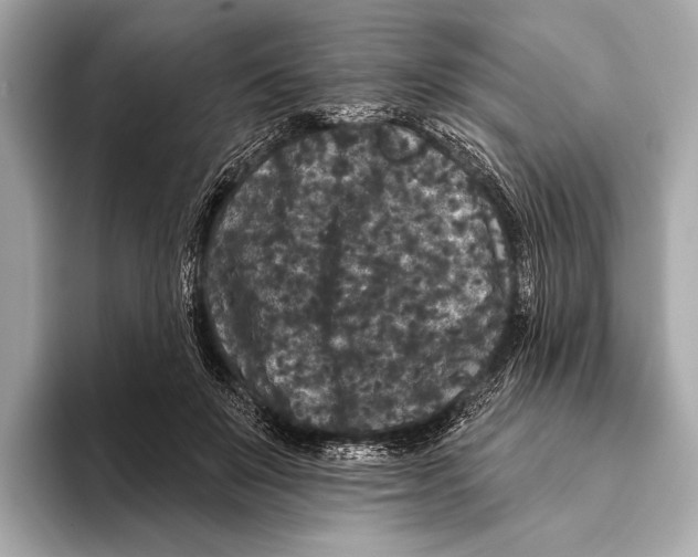 X0000093480503200711020936