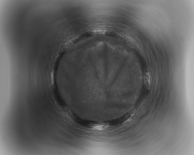 X0000093480504200711020936