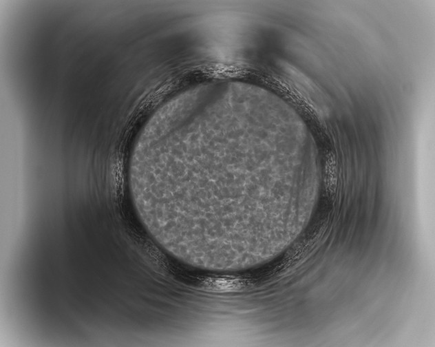 X0000093480506200711020936