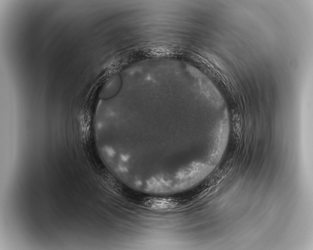 X0000093480507200711020936