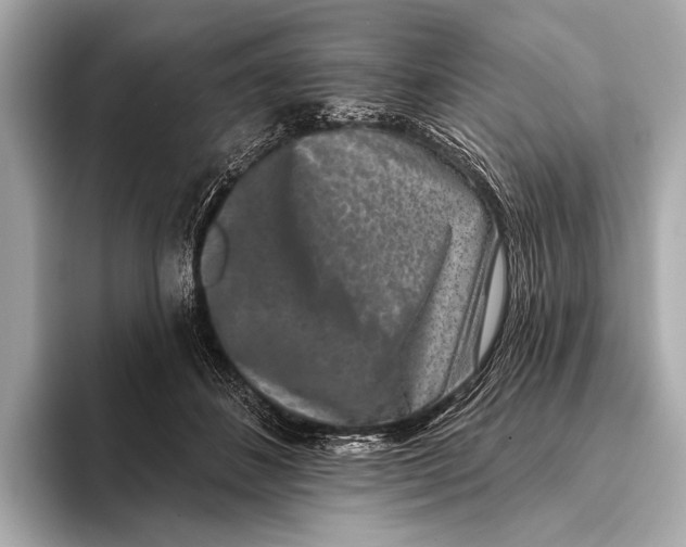 X0000093480508200711020935