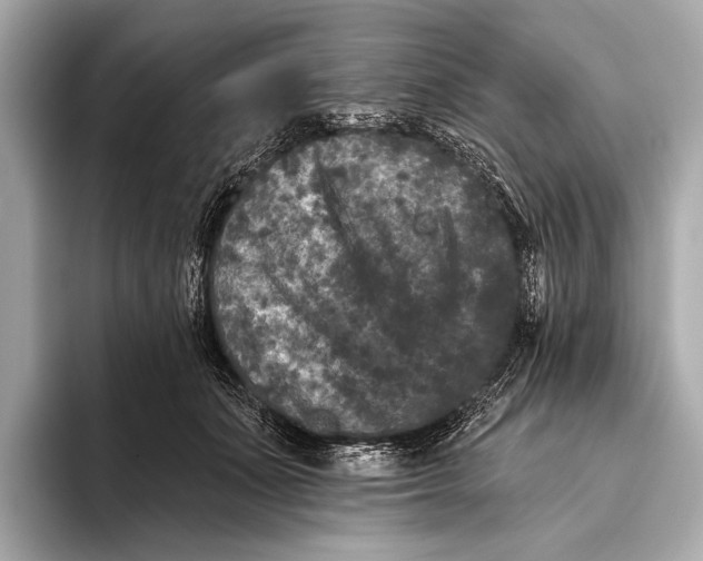 X0000093480511200711020935