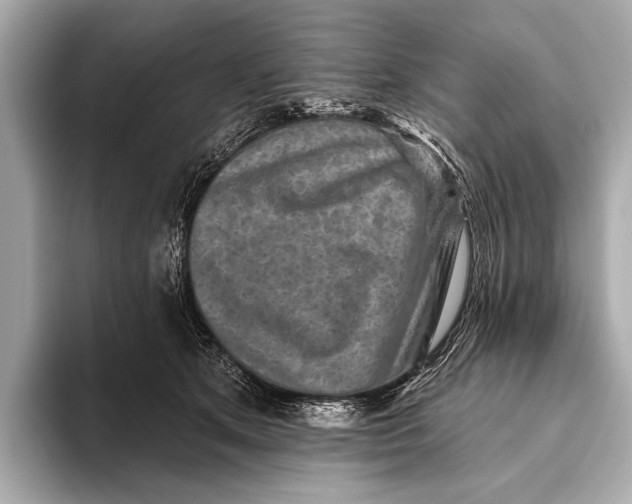 X0000093480513200711020935
