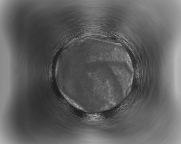 X0000093480516200711020935