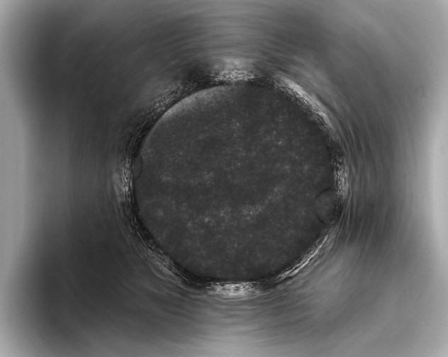 X0000093480517200711020935