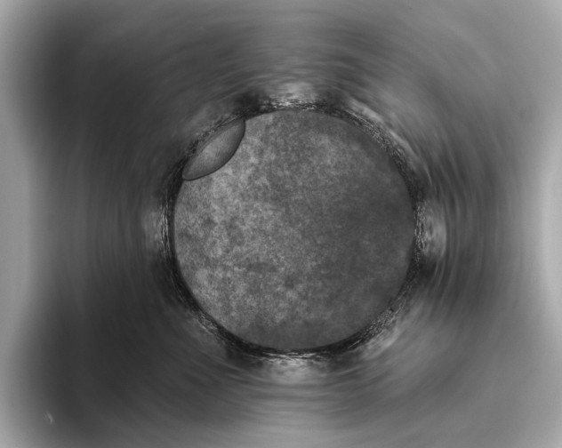 X0000093480523200711020935