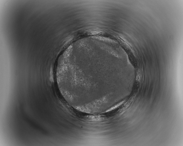 X0000093480524200711020935