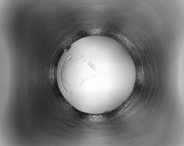 X0000093480525200711020935