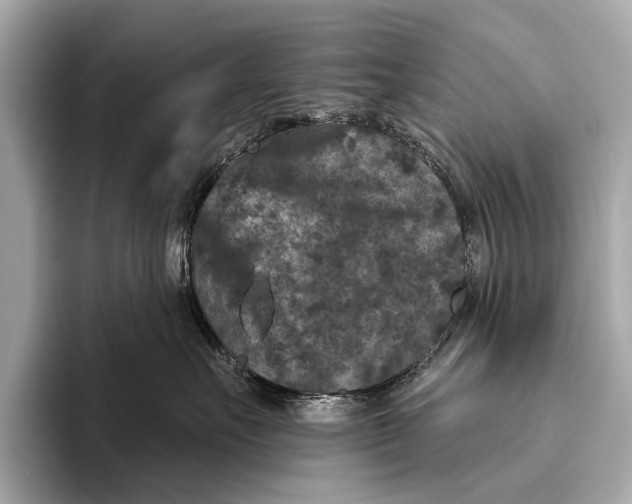 X0000093480527200711020935