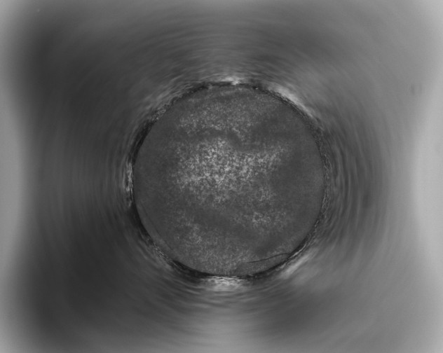X0000093480528200711020935