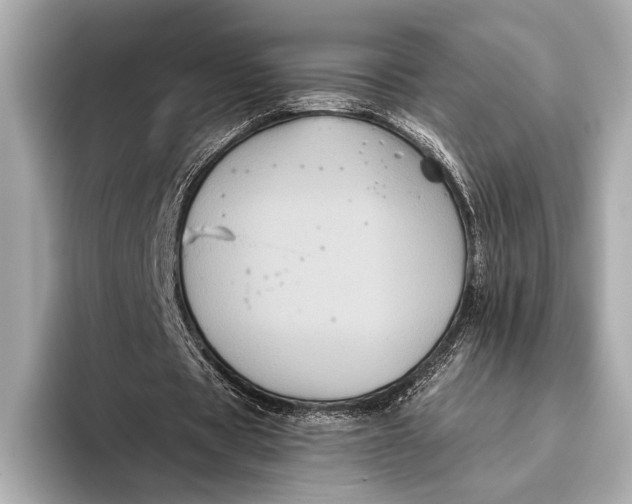 X0000093480529200711020935