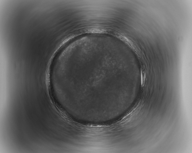 X0000093480531200711020935