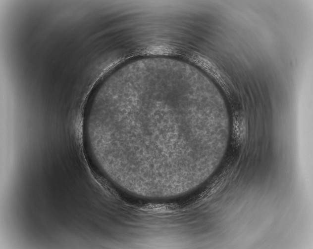 X0000093480534200711020935