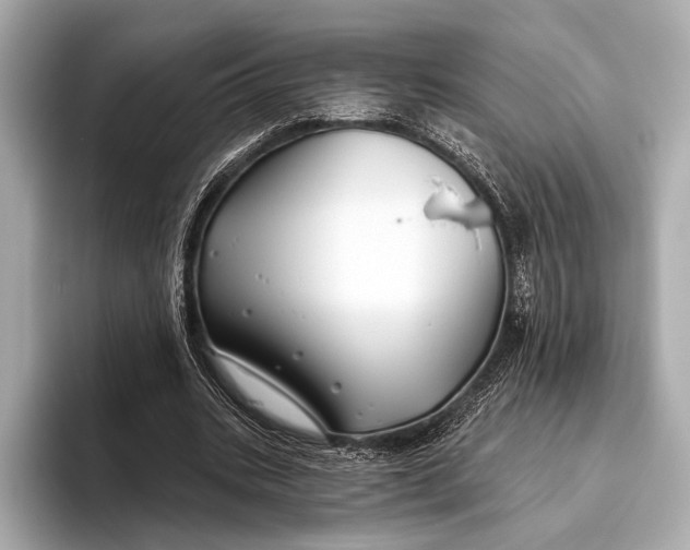 X0000093480535200711020935