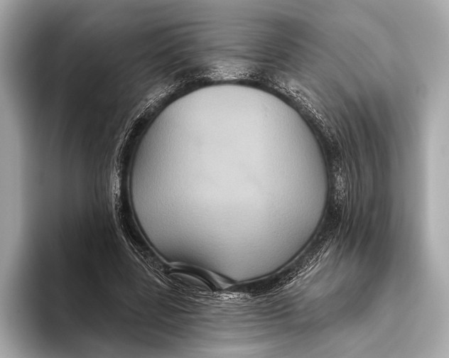 X0000093480539200711020935
