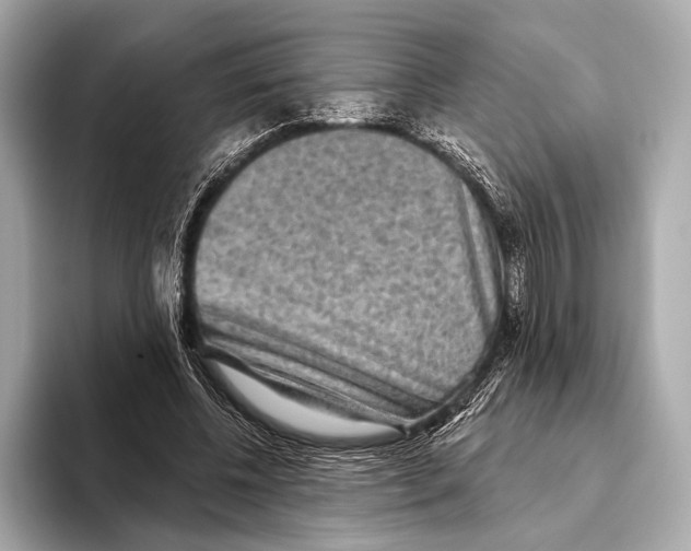 X0000093480540200711020935