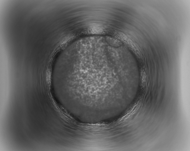 X0000093480542200711020935