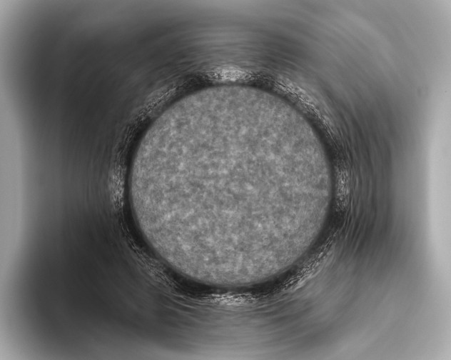 X0000093480545200711020935