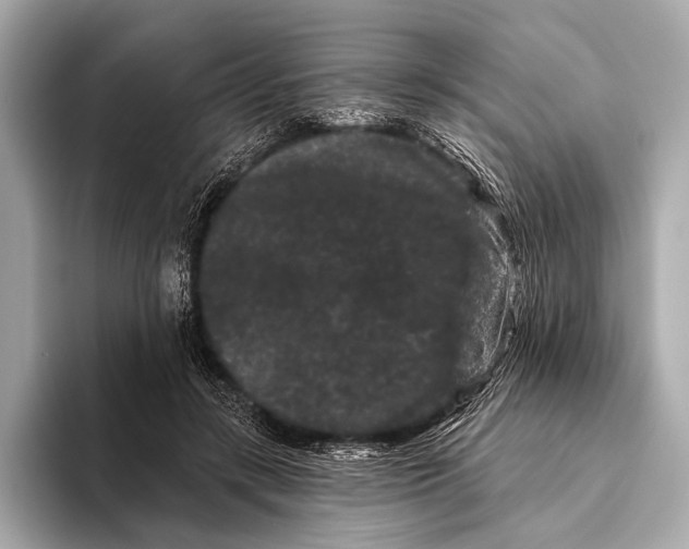 X0000093480547200711020935