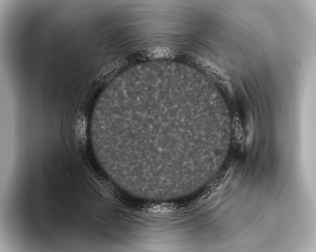 X0000093480550200711020935