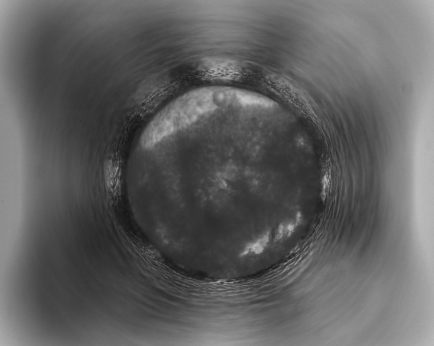 X0000093480551200711020935