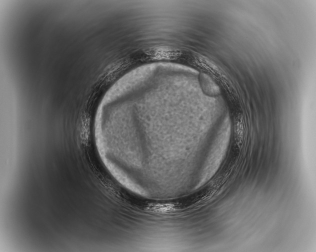 X0000093480554200711020935