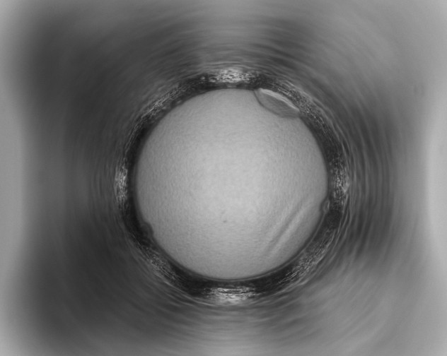X0000093480556200711020935
