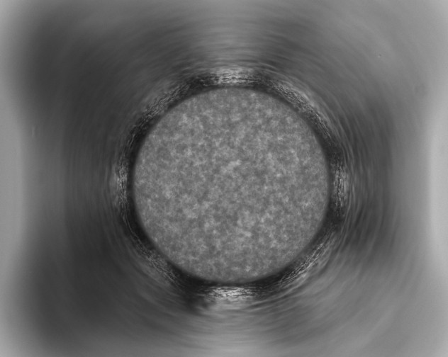 X0000093480557200711020935