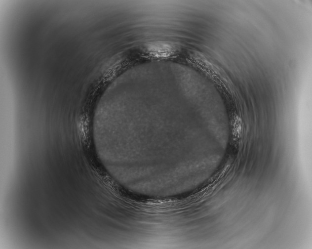 X0000093480559200711020935