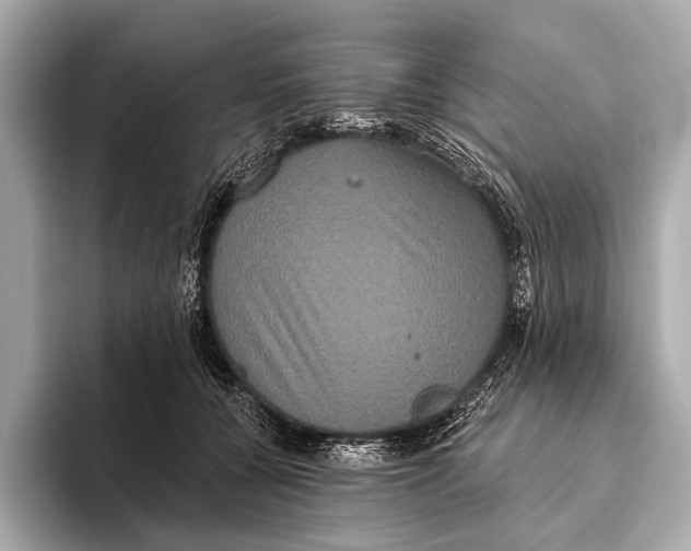 X0000093480560200711020935