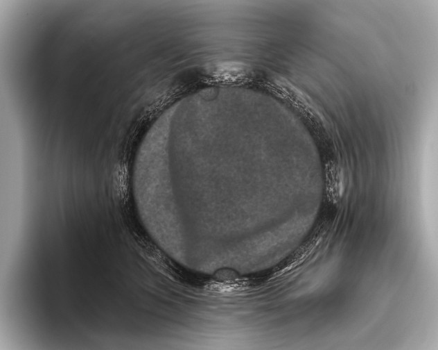 X0000093480563200711020935