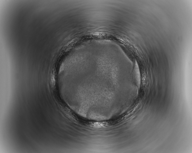 X0000093480566200711020935