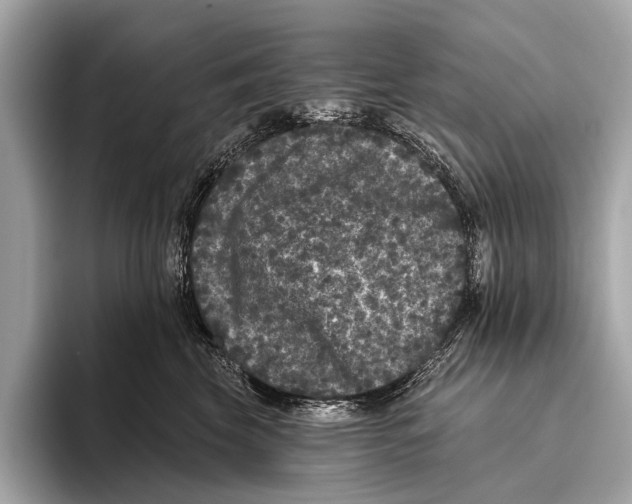 X0000093480569200711020935