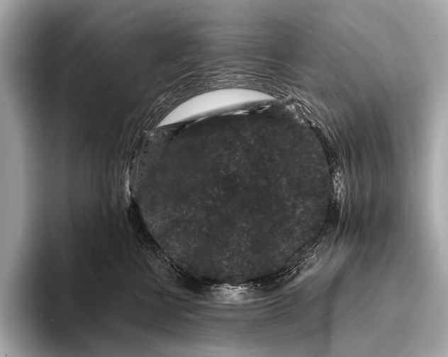 X0000093480570200711020935